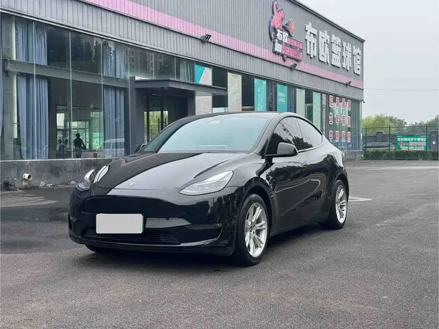 Tesla Model Y 2021 Standard Range Rear-Wheel Drive