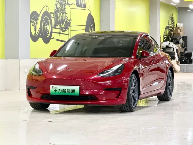 Tesla Model 3 2021 Facelift Standard Range RWD Upgrade 3D1