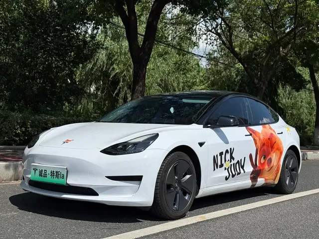 Tesla Model 3 2022 Model Rear-Wheel Drive Version
