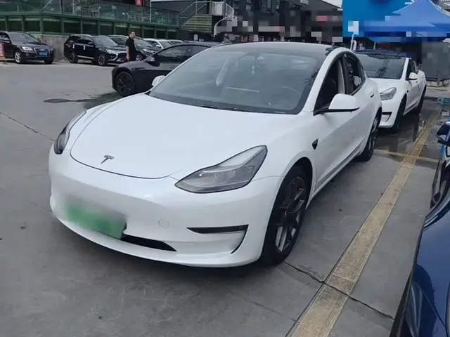 Tesla Model 3 2021 Performance High-Performance All-Wheel Drive 3D6