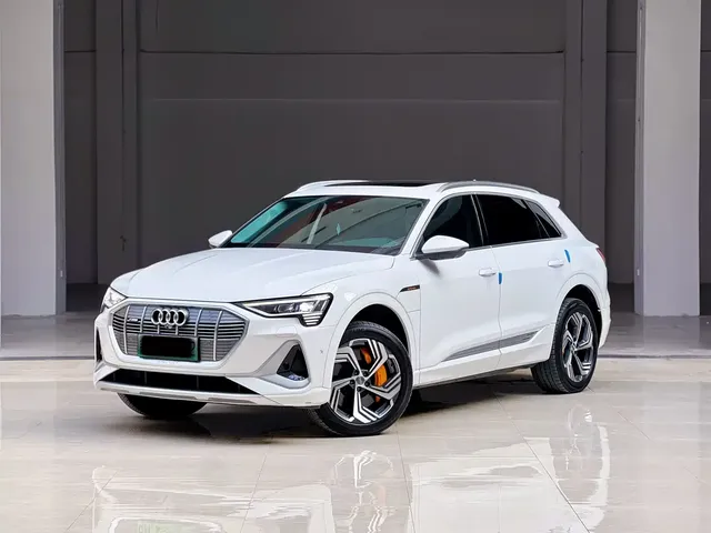 Audi e-tron 2021 50 quattro Exclusive Selection