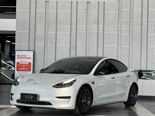 Tesla Model 3 2020 Standard Range Rear-Wheel Drive Upgrade