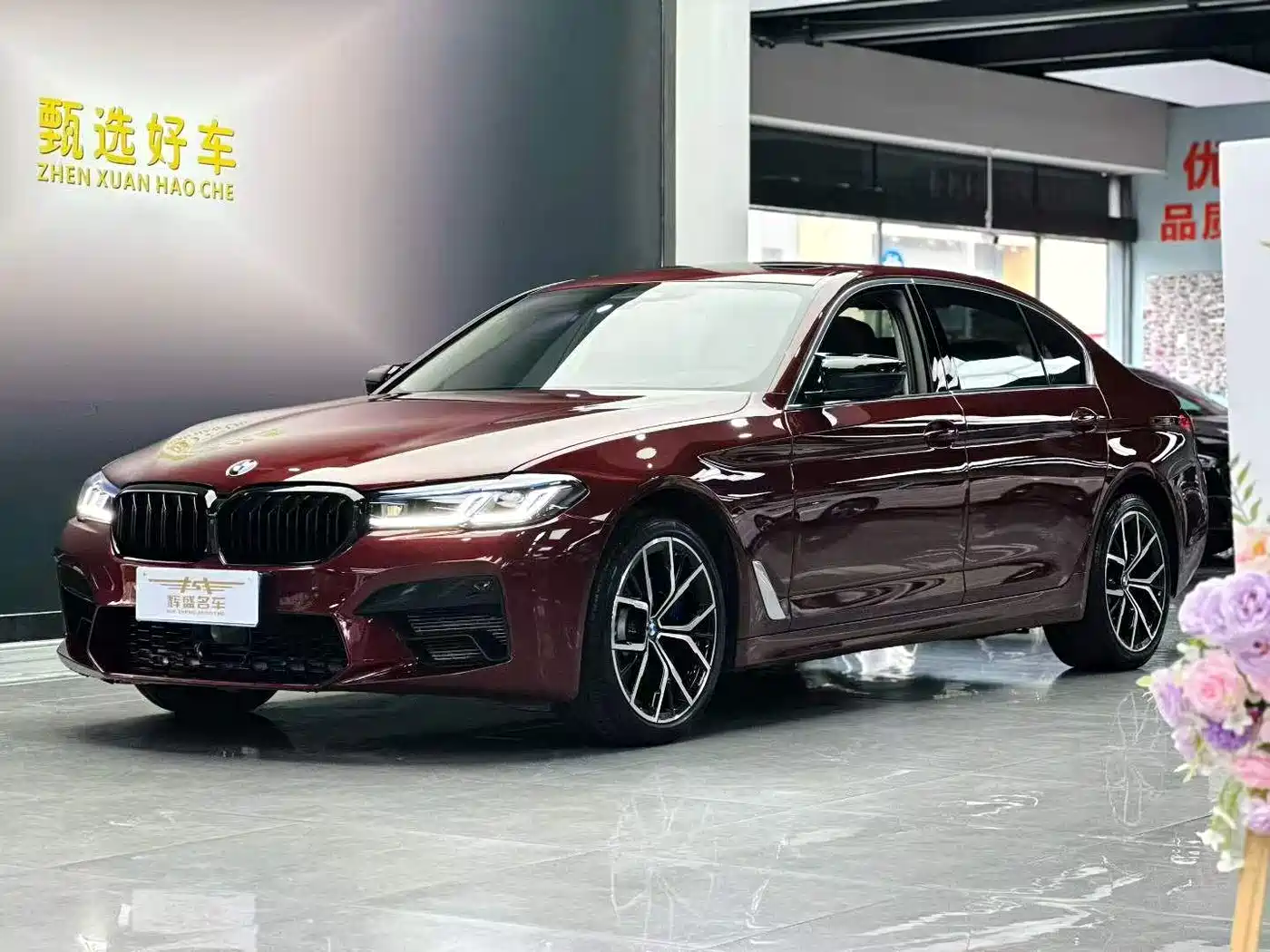 BMW 5 Series 2021 530Li Executive Luxury Package