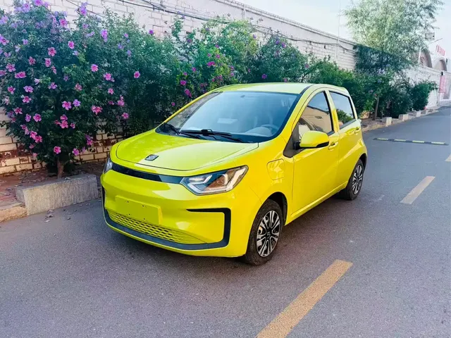 Sehol Flower Fairy 2021 200km Classic Edition