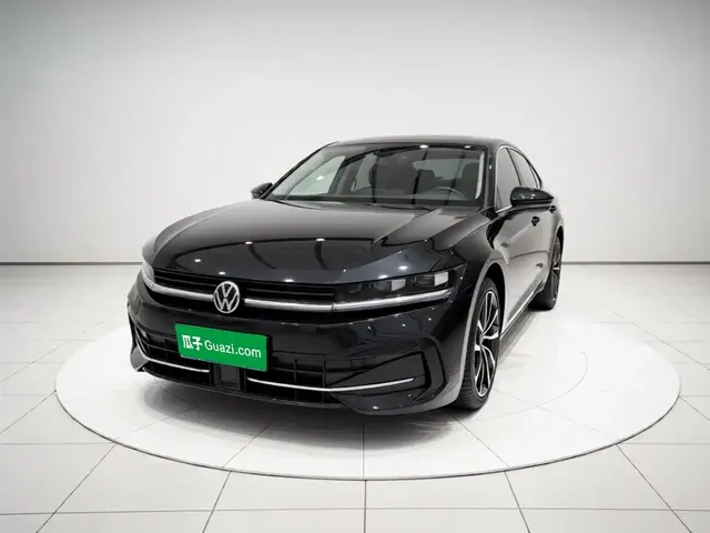 Volkswagen Magotan 2024 380TSI DSG Ultimate Edition