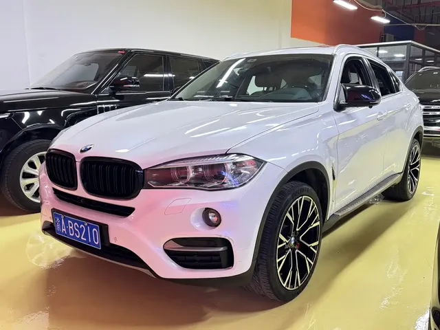 BMW X6 2017 xDrive35i Leading