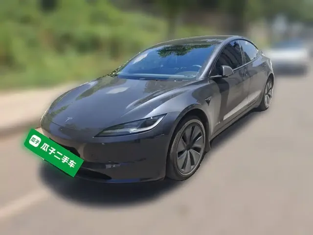 Tesla Model 3 2025 Model Rear-Wheel Drive Edition