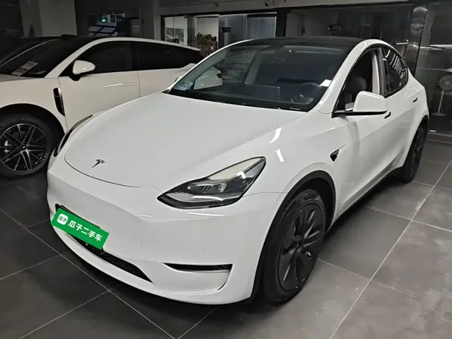 Tesla Model Y 2021 Long Range All-Wheel Drive 3D7