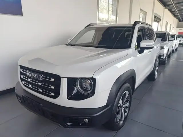 Haval Big Dog 2021 1.5T DCT 2WD Labrador Edition