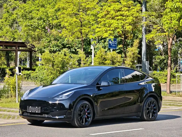 Tesla Model Y 2022 Rear-Wheel Drive Version