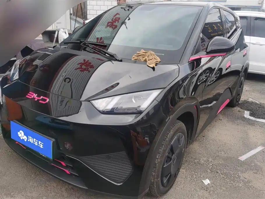 BYD Seagull 2025 Smart Drive Edition 305km Vitality Version