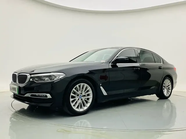BMW 5 Series New Energy 2019 530Le Luxury Package