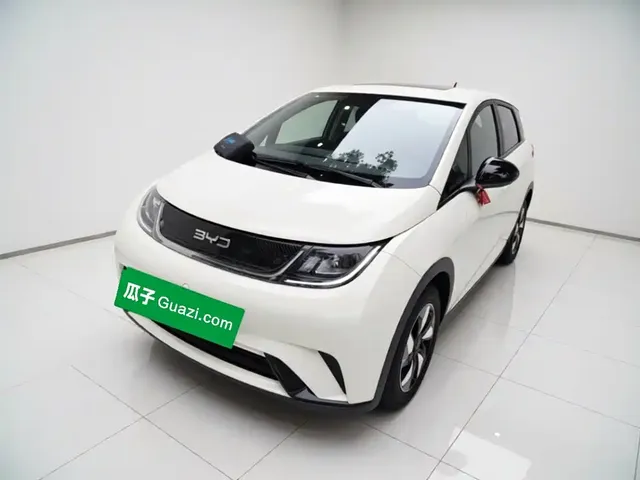 BYD Dolphin 2025 420km Freedom Edition