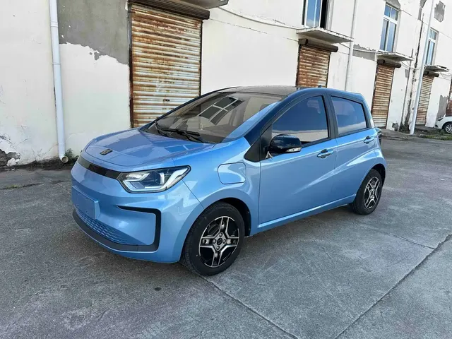 Sehol Flower Fairy 2021 302km Fashion Edition 31.4kWh
