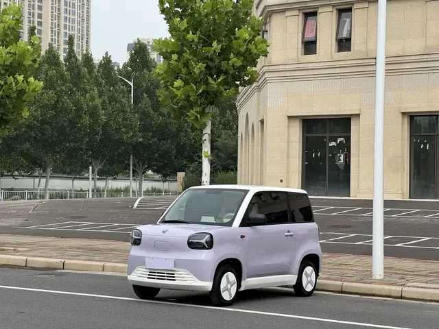 Zhido Rainbow 2025 Pro 205km Sunshine Edition