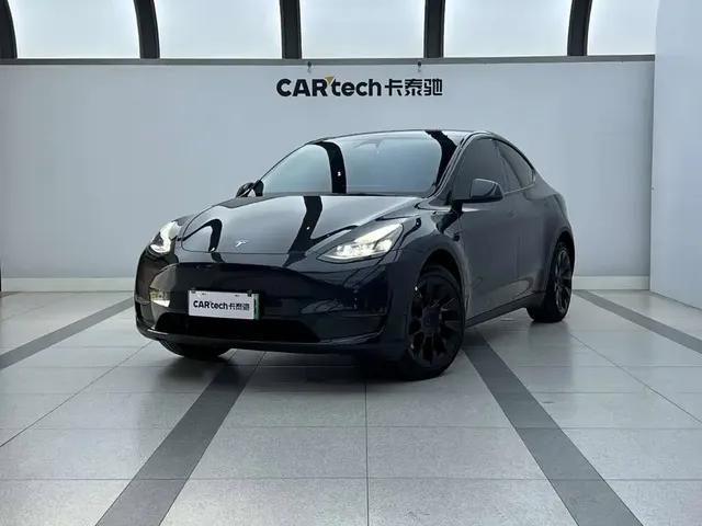 Tesla Model Y 2025 Long Range All-Wheel Drive