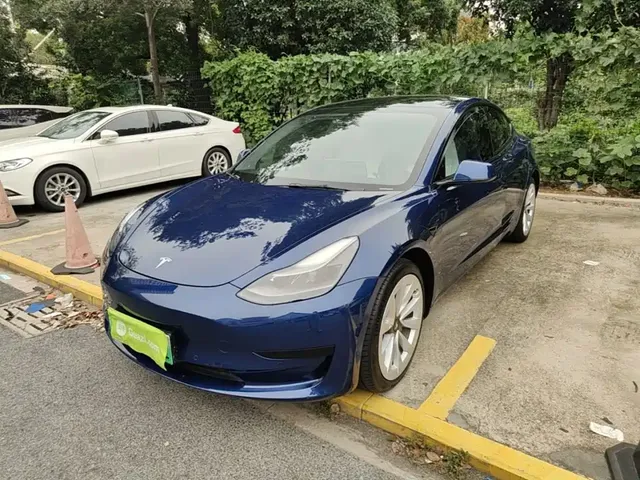 Tesla Model 3 2021 Standard Range Rear-Wheel Drive Upgrade 3D6