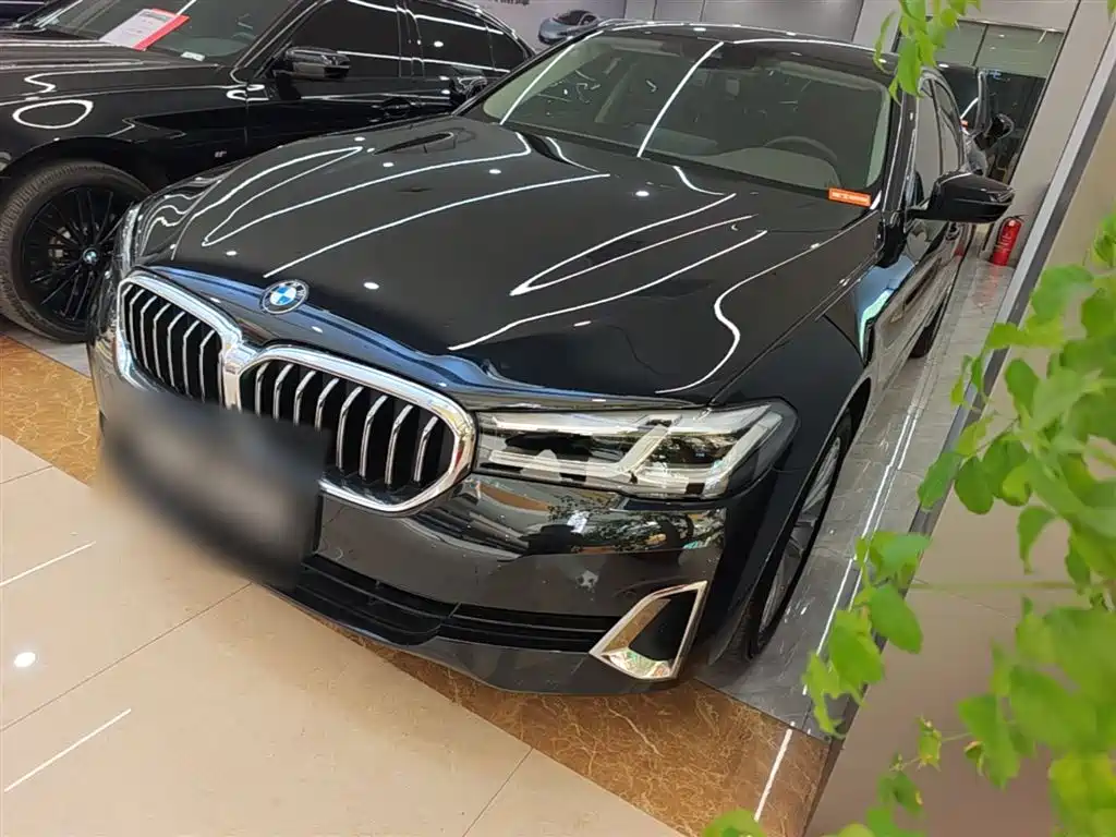 BMW 5 Series 2020 530Li Leading Luxury Package