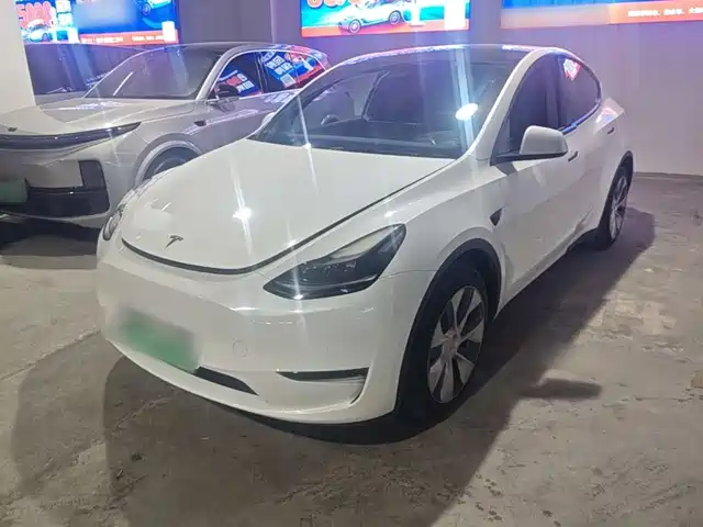 Tesla Model Y 2021 Standard Range Rear-Wheel Drive