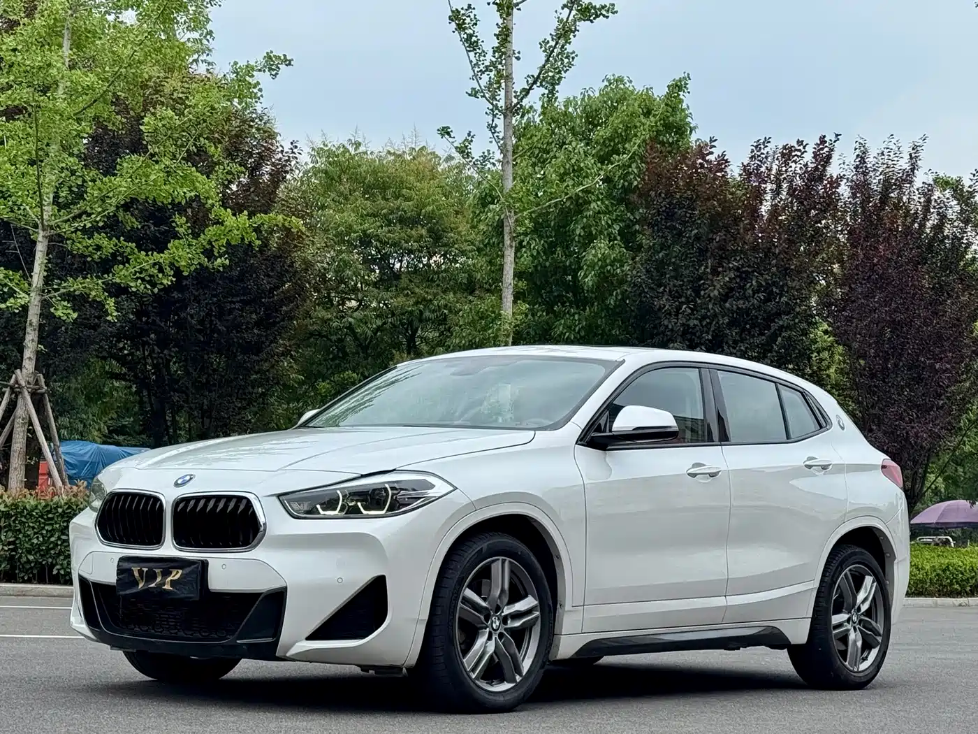 BMW X2 2021 sDrive25i Leading M Sport Package