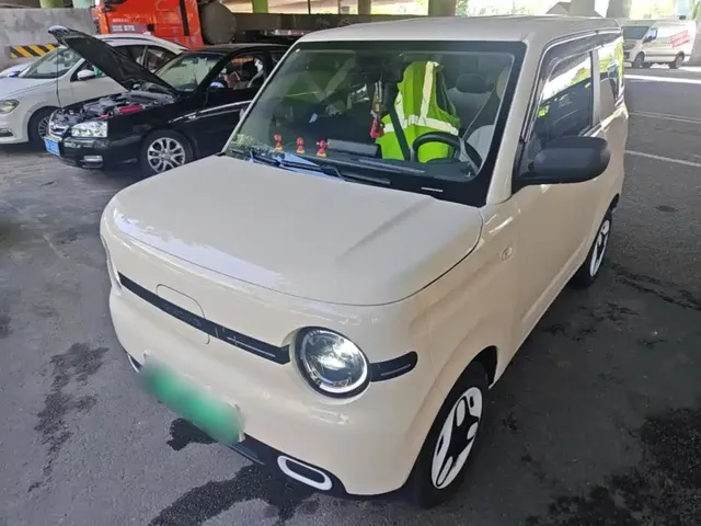 Geely Galaxy Panda 2025 Panda mini 210km Vitality Bear