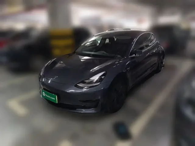 Tesla Model 3 2019 Standard Range Rear-Wheel Drive Upgrade