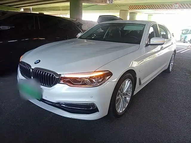 BMW 5 Series New Energy 2020 530Le Range Upgrade Luxury Package
