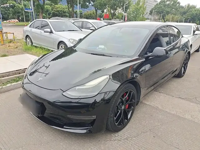 Tesla Model 3 2021 Performance High-Performance All-Wheel Drive