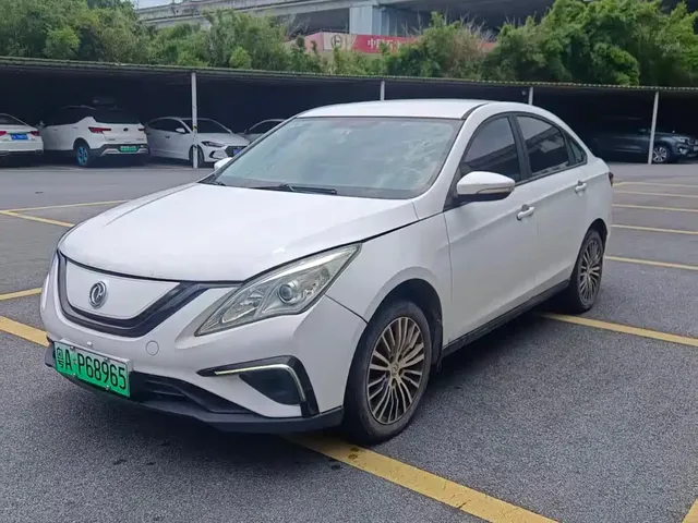 Dongfeng Fengxing S50EV 2020 Operation Model