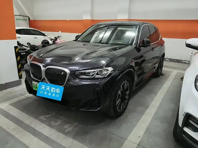 BMW iX3 2023 Leading Type