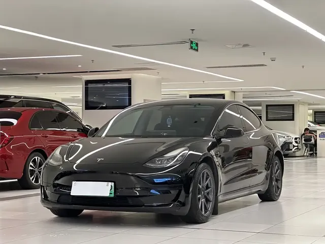Tesla Model 3 2021 Standard Range Rear-Wheel Drive Upgrade