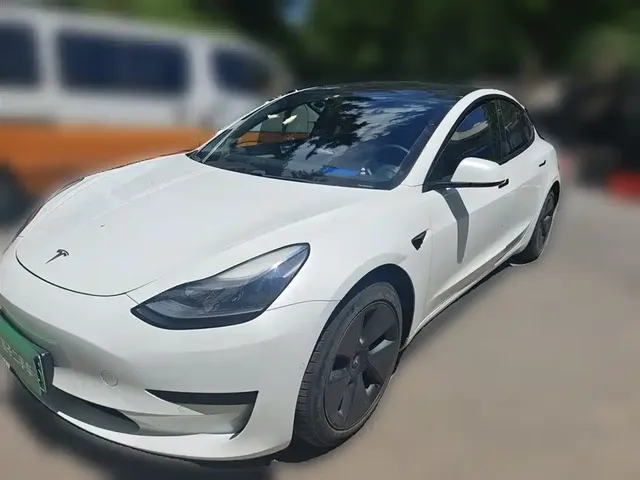 Tesla Model 3 2021 Standard Range Rear-Wheel Drive Upgrade