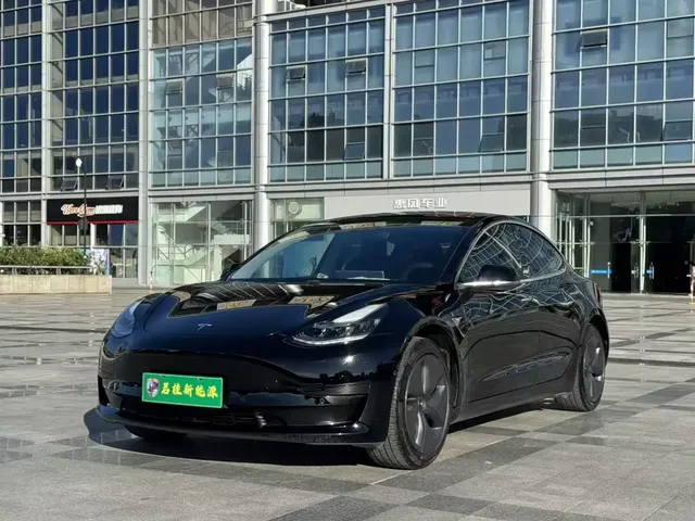 Tesla Model 3 2020 Standard Range Rear-Wheel Drive Upgrade