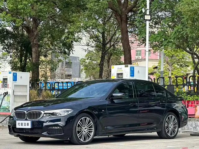 BMW 5 Series 2019 530Li Leading M Sport Package