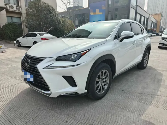 Lexus NX 2020 200 AWD F Sport China VI