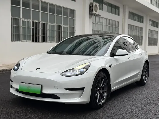 Tesla Model 3 2021 Standard Range Rear-Wheel Drive Upgrade 3D6