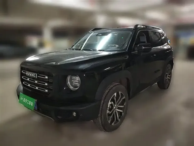 Haval Big Dog 2022 1.5T DCT FWD Border Collie Edition