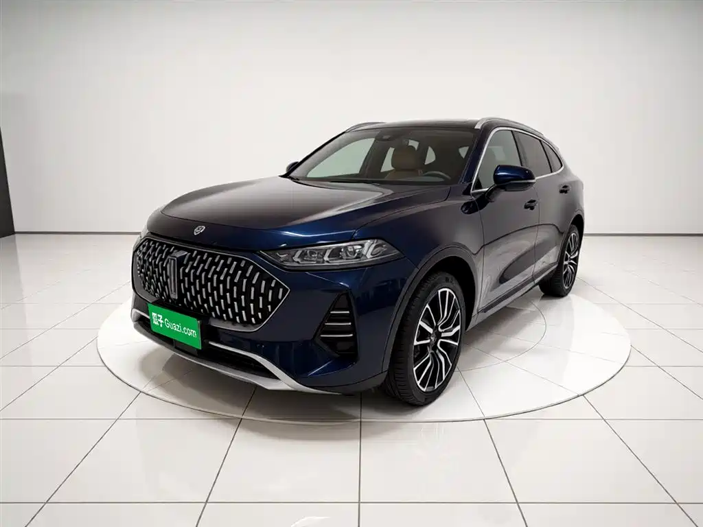 WEY Mocha 2021 2.0T 2WD Premium Edition