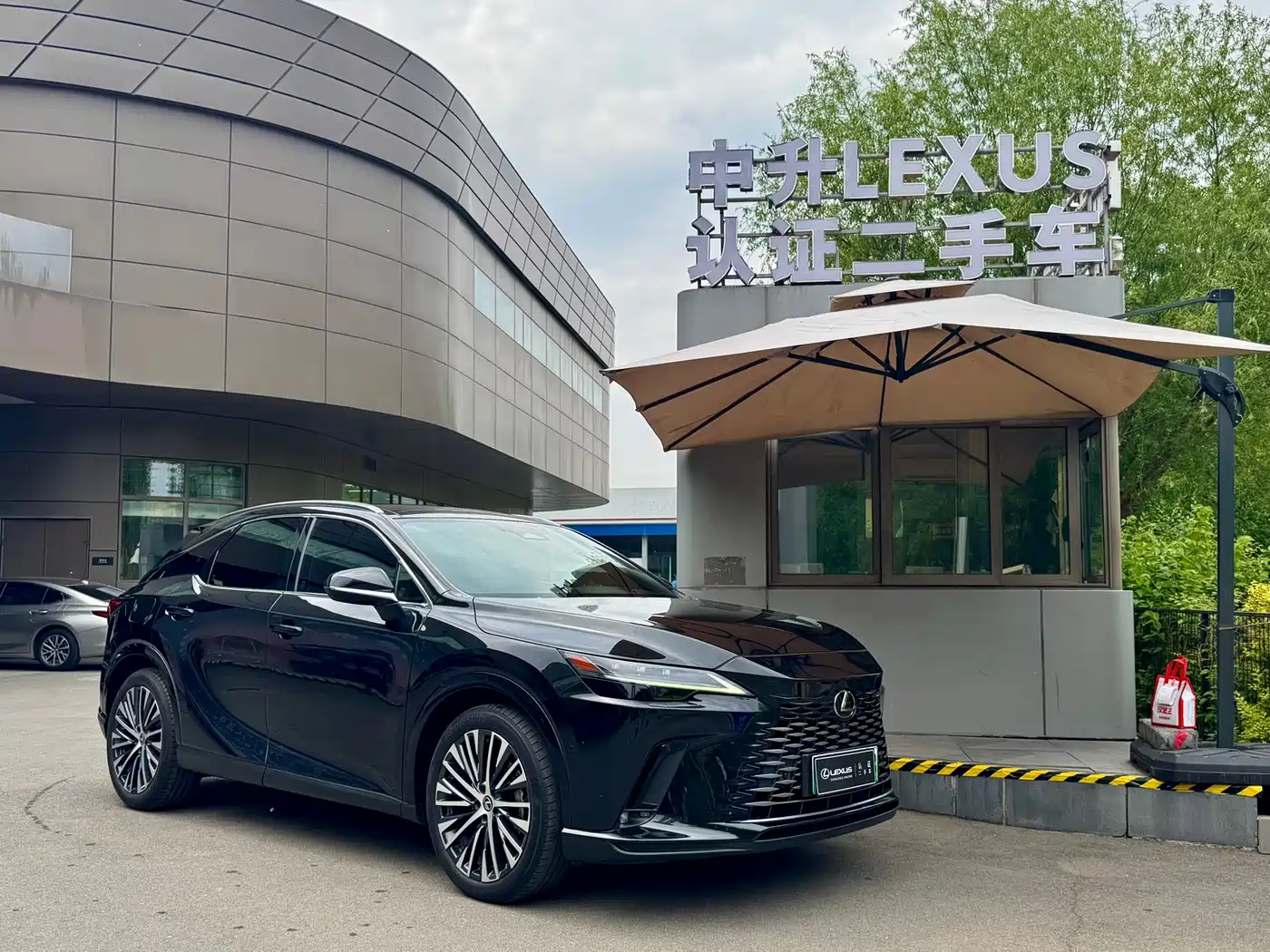 Lexus RX New Energy 2023 450h+ 4WD Enjoyment