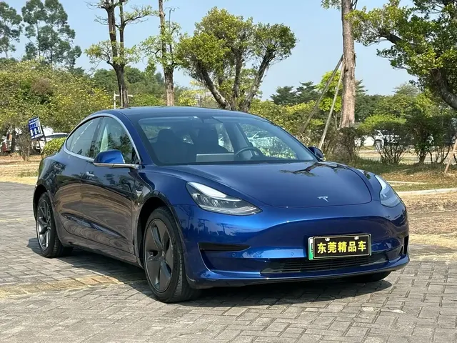Tesla Model 3 (Import) 2019 Standard Range RWD Upgraded Edition