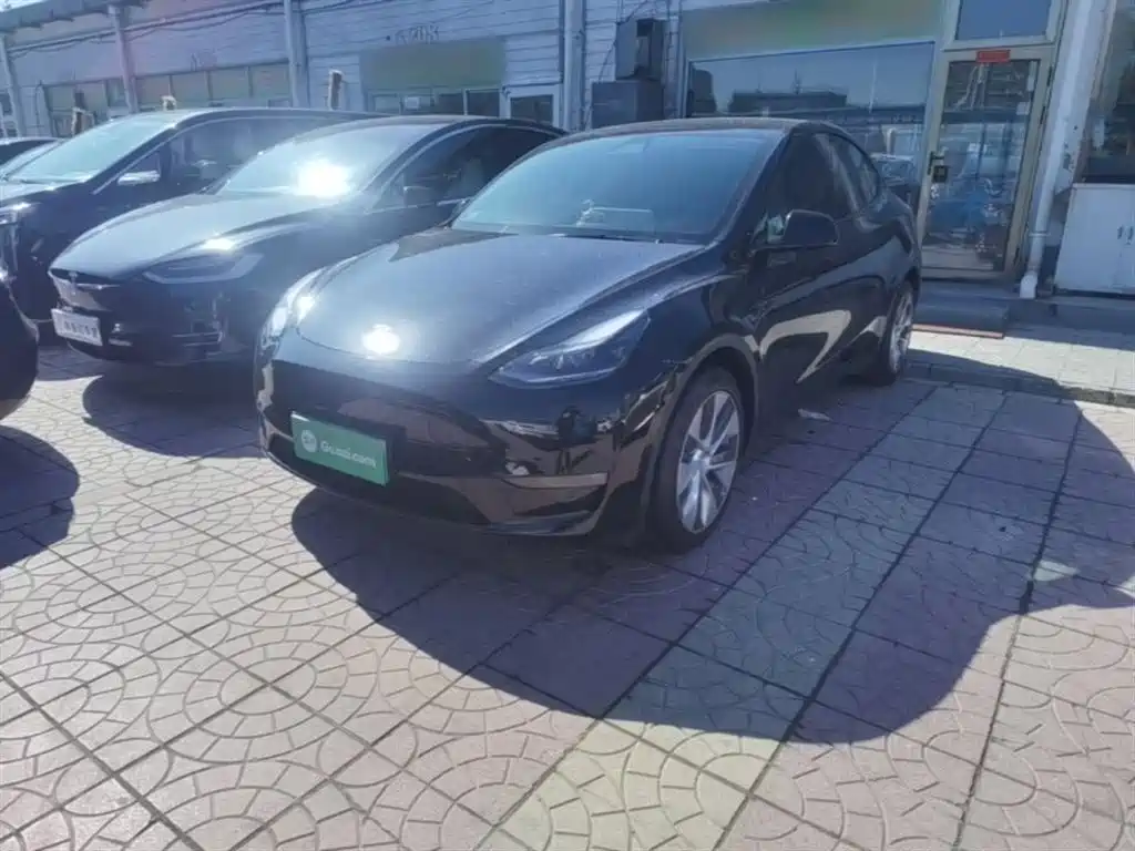 Tesla Model Y 2021 Model Long Range AWD