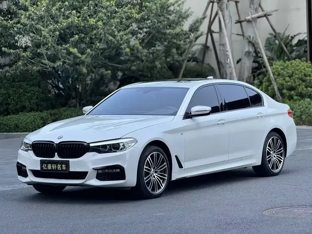 BMW 5 Series 2019 530Li Leading M Sport Package