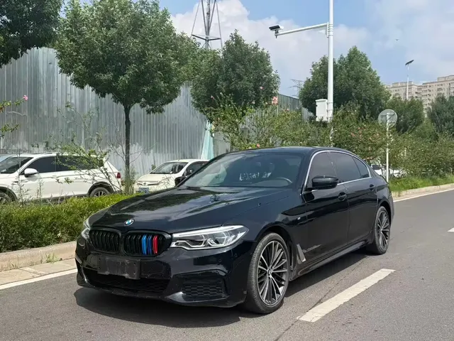 BMW 5 Series 2020 530Li Leading M Sport Package