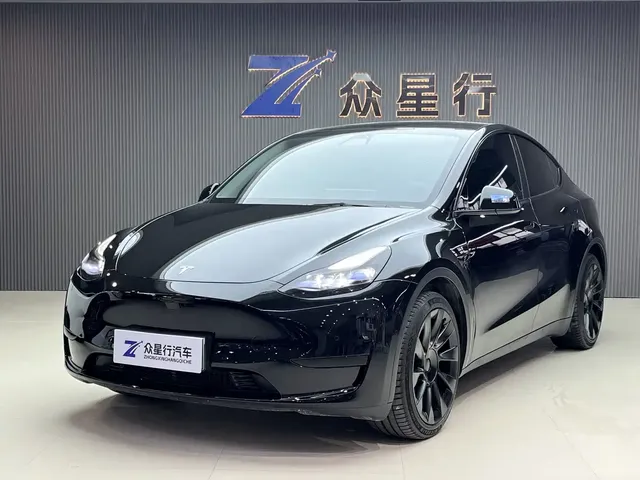 Tesla Model Y 2022 Rear-Wheel Drive Version