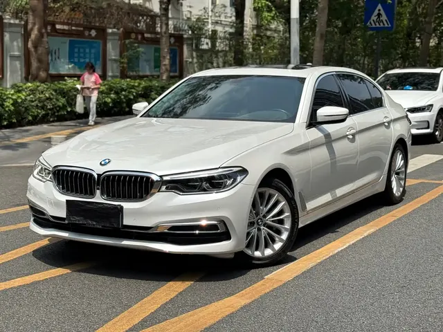 BMW 5 Series 2020 530Li Premium Luxury Package
