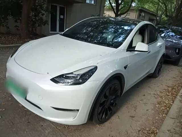 Tesla Model Y 2022 Performance High-Performance All-Wheel Drive Version