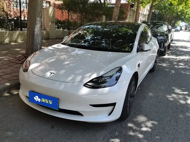 Tesla Model 3 2022 Model Rear-Wheel Drive Version