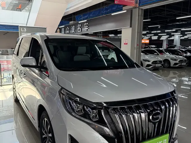 GAC Trumpchi M8 2023 Leading Series 390T Luxury Edition