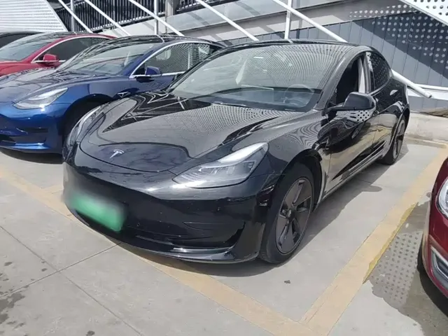 Tesla Model 3 2022 Model Rear-Wheel Drive Version