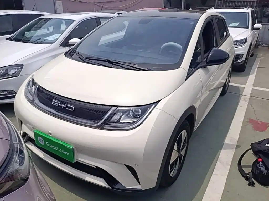 BYD Dolphin 2023 420km Fashion Edition